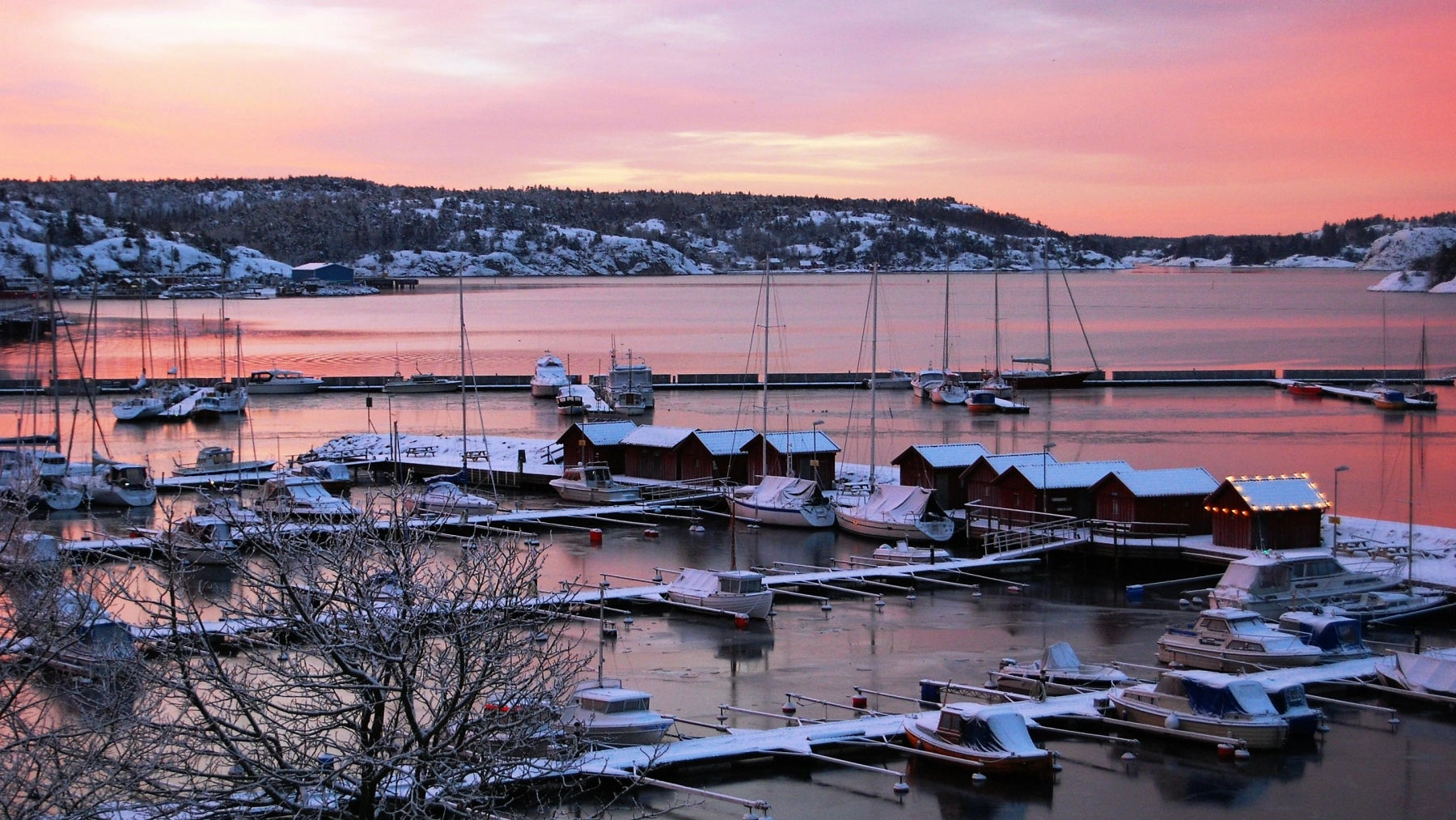 morgon i hamnen 010.jpg