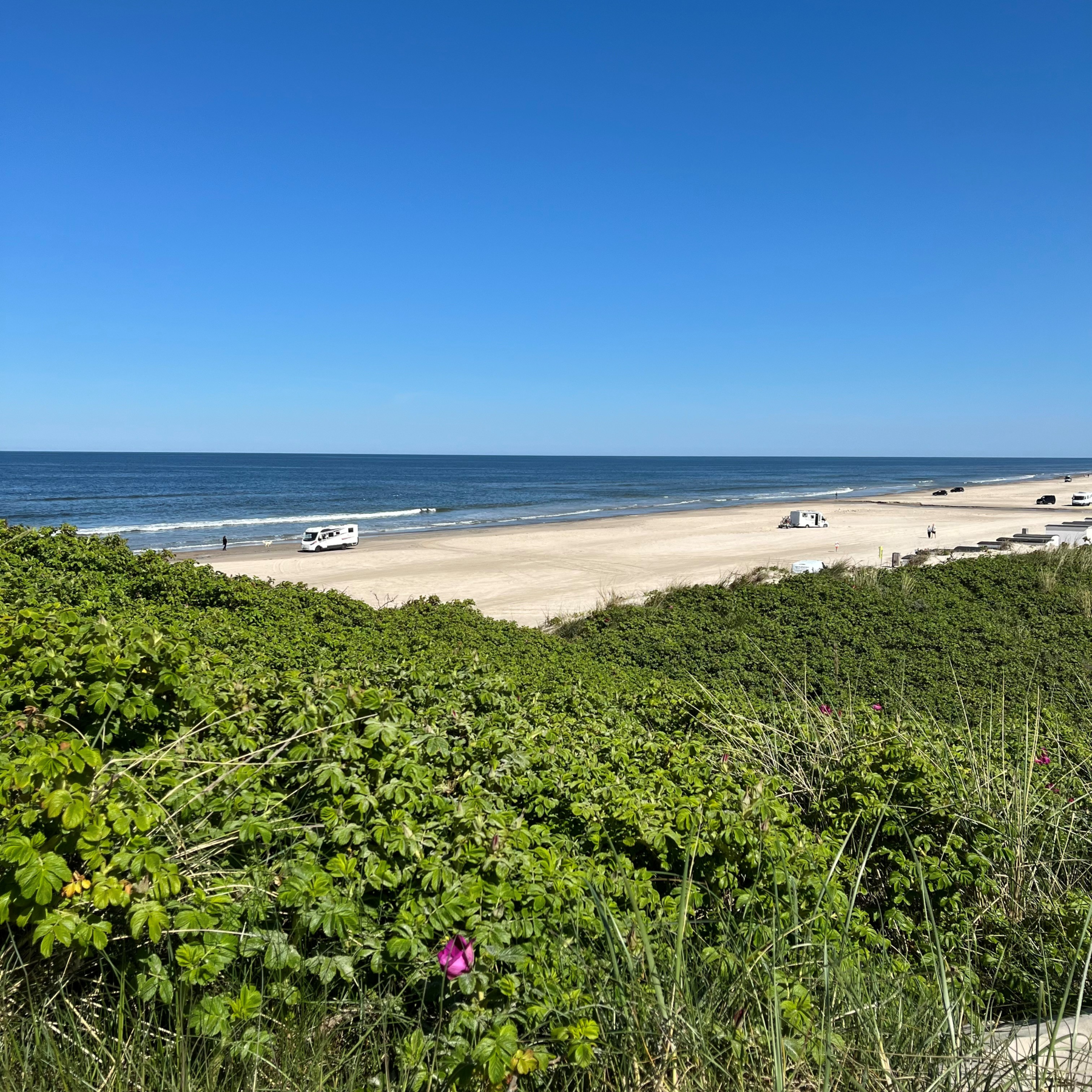Strand8.jpg