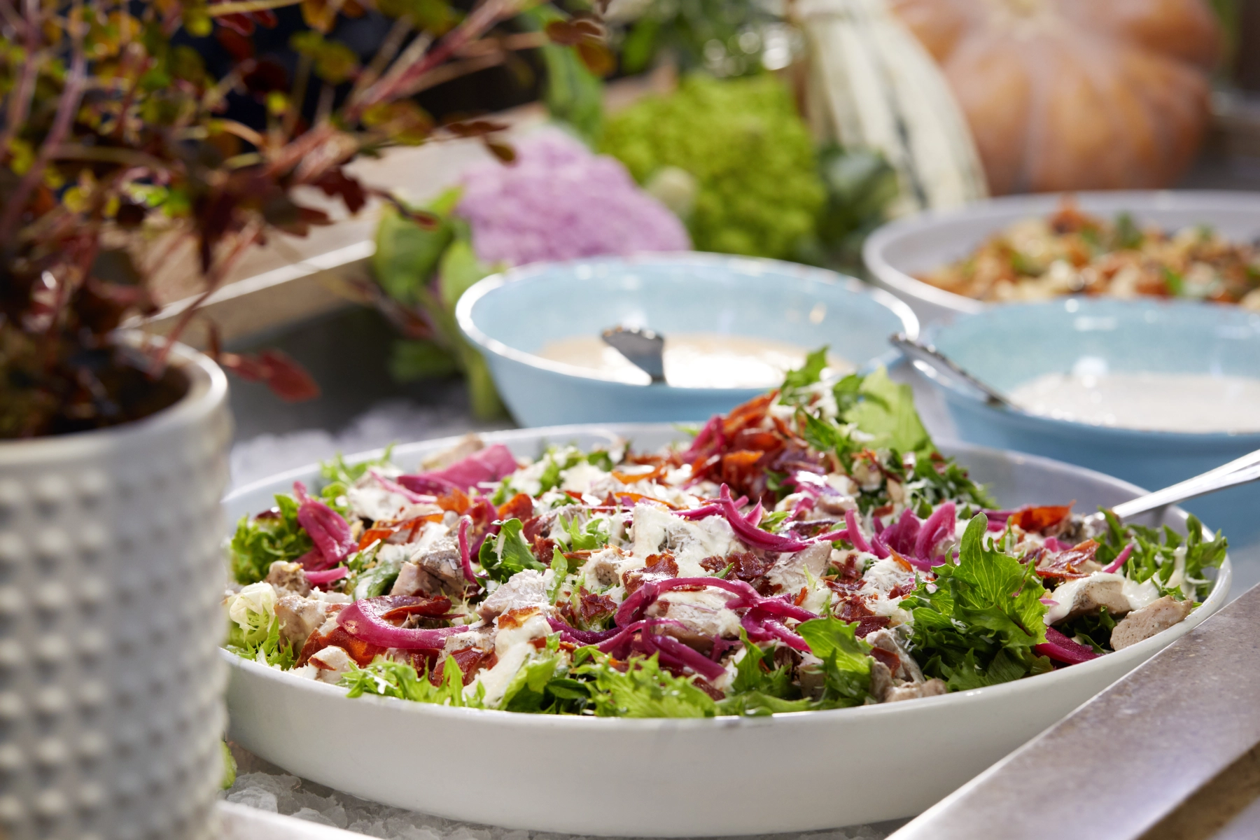 Salat på buffeten på Color Hybrid