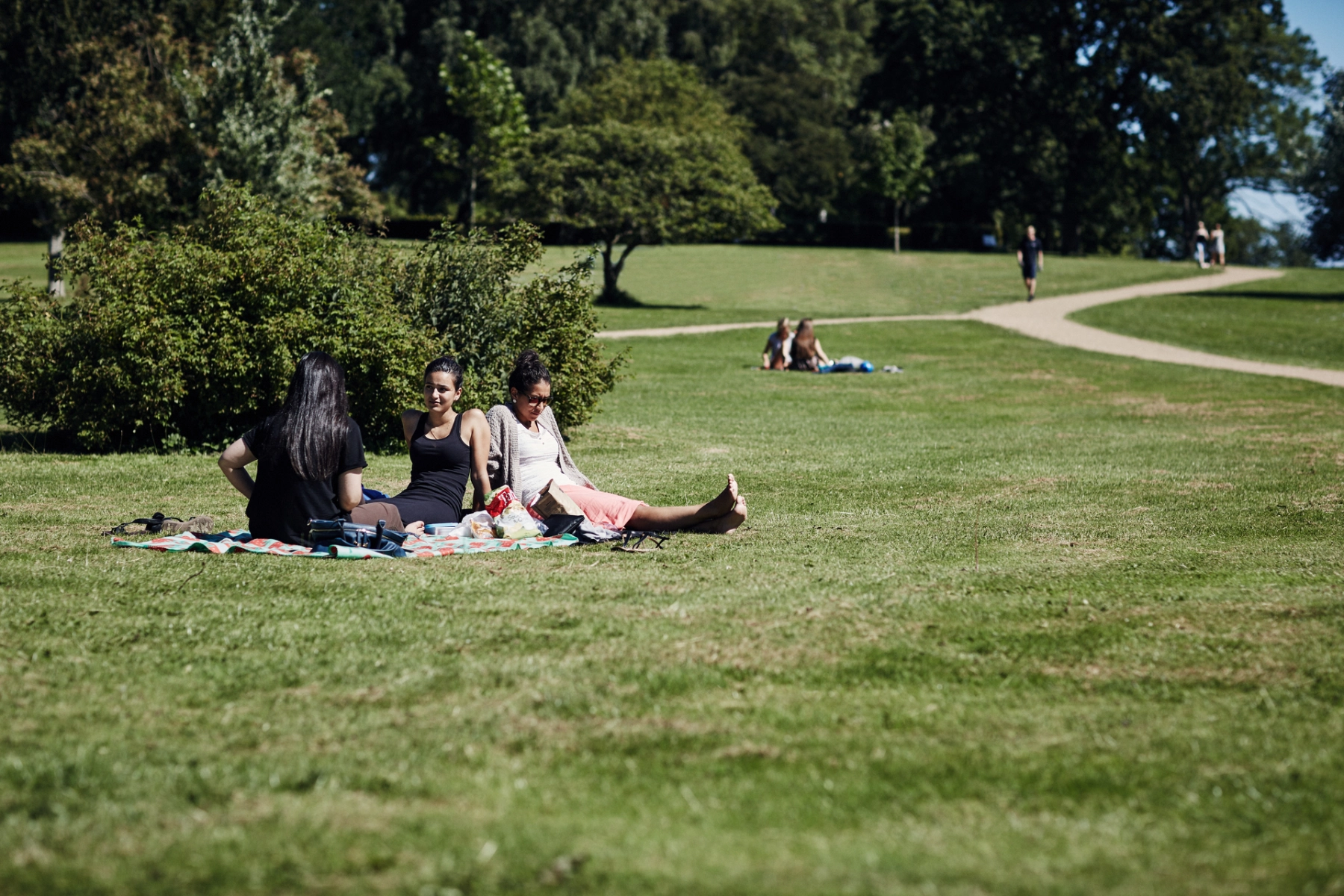 Aarhus_CLL-20241.jpg