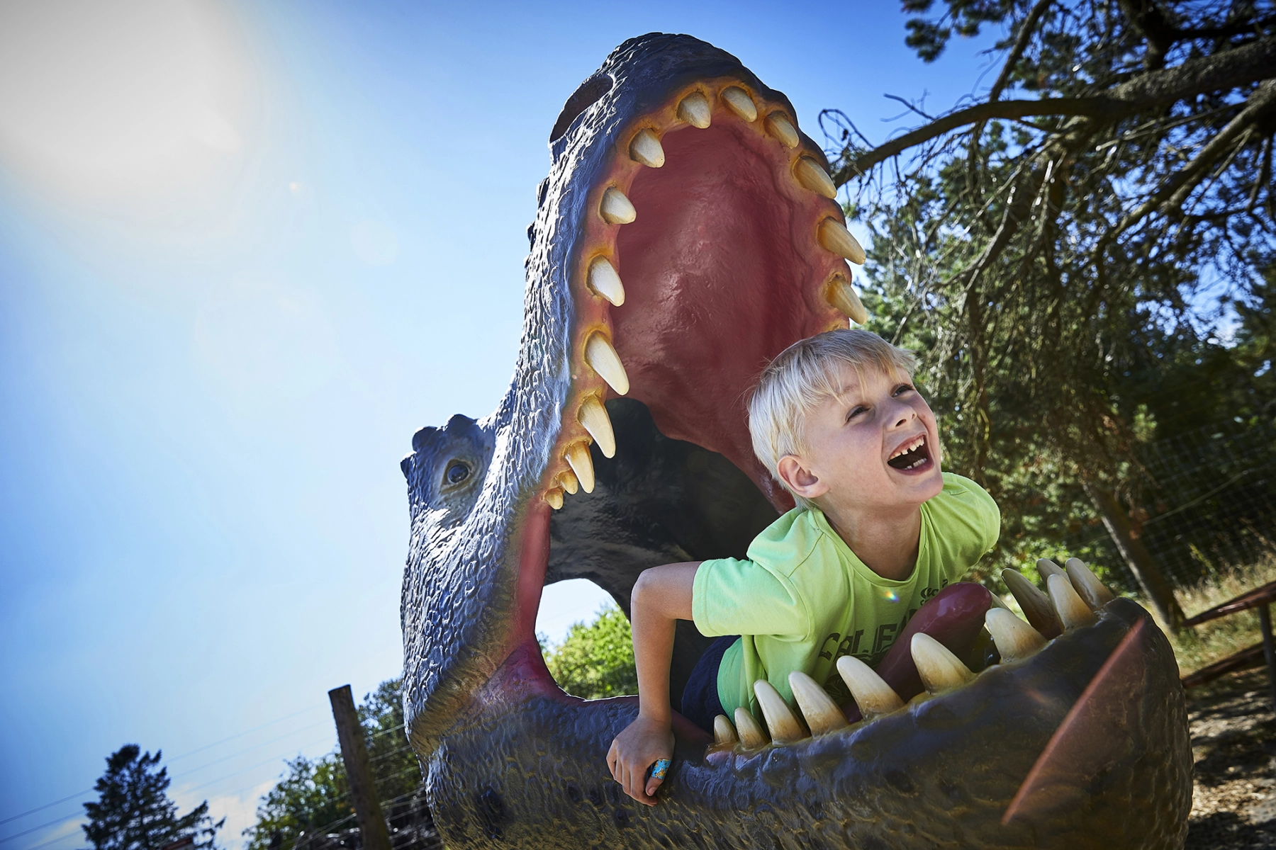 GIVSKUD_ZOOTOPIA_2018_PHOTO-PLAY copy.jpg