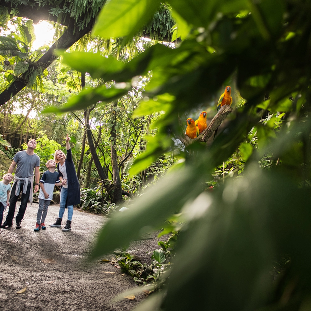 Randers Regnskog familie.jpg
