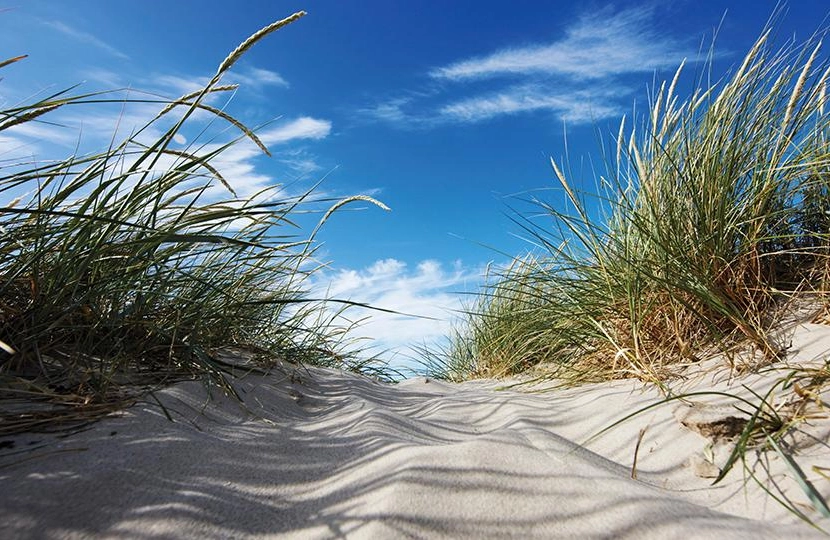 Sandstrand.jpg