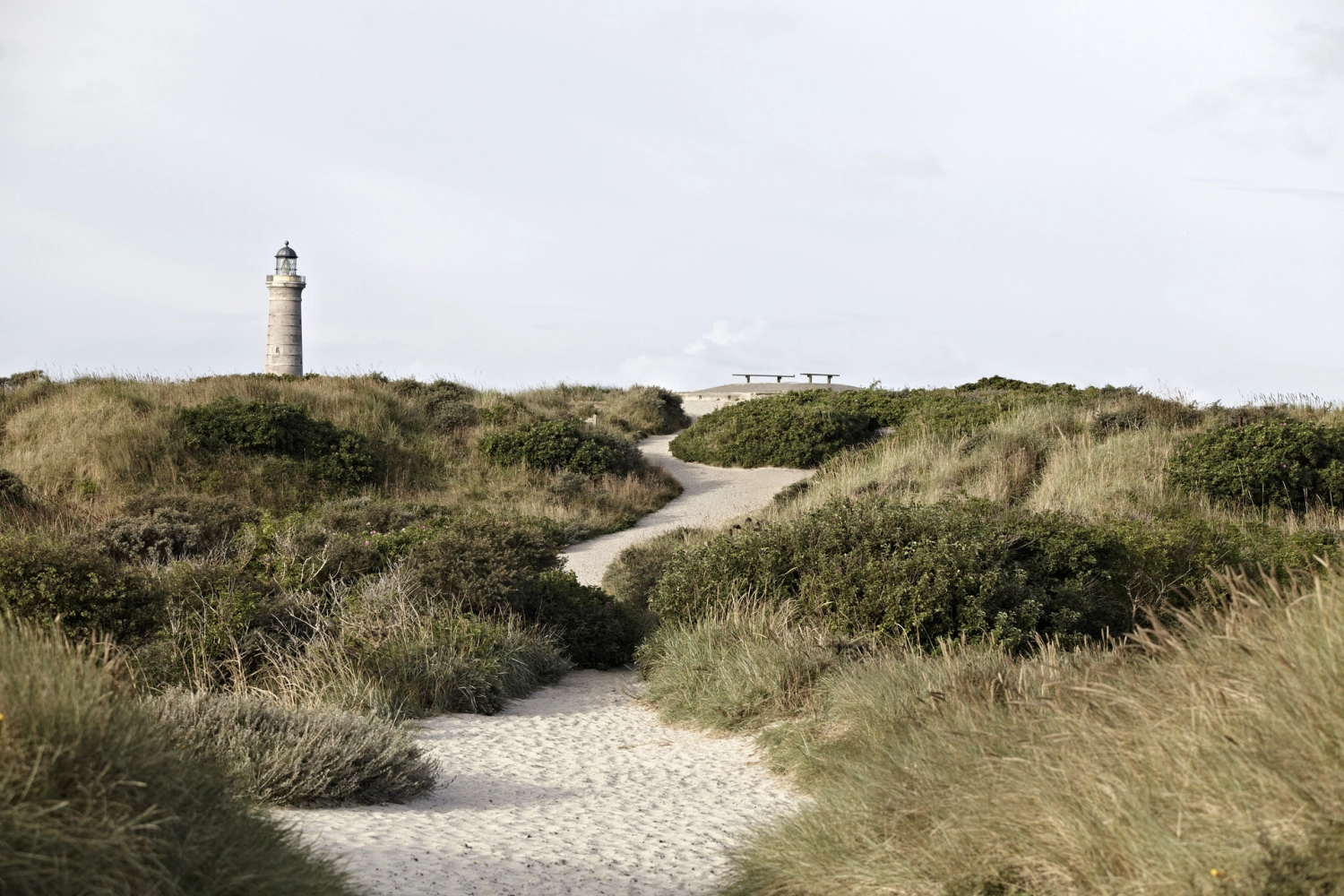 Skagen_CLL-03556_Dag G.jpg