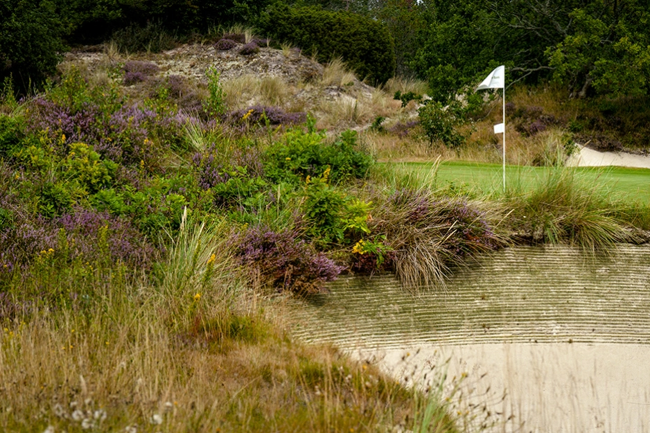 Hvide Klit Golfklubb.jpg