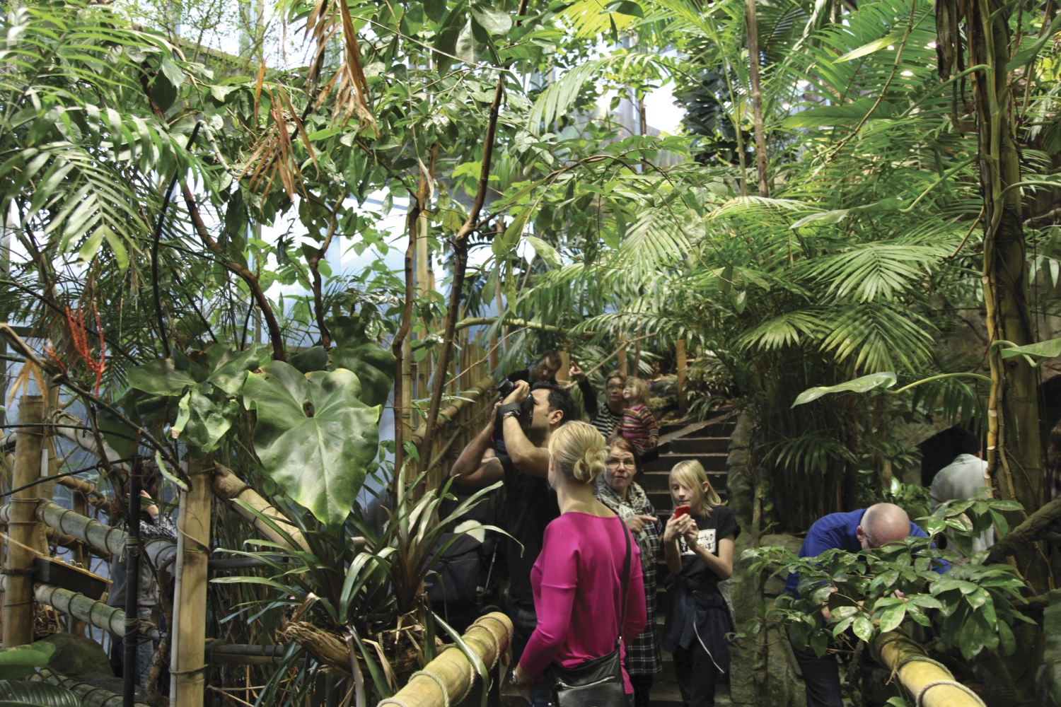 Universeum_CLL-05340 (1).jpg
