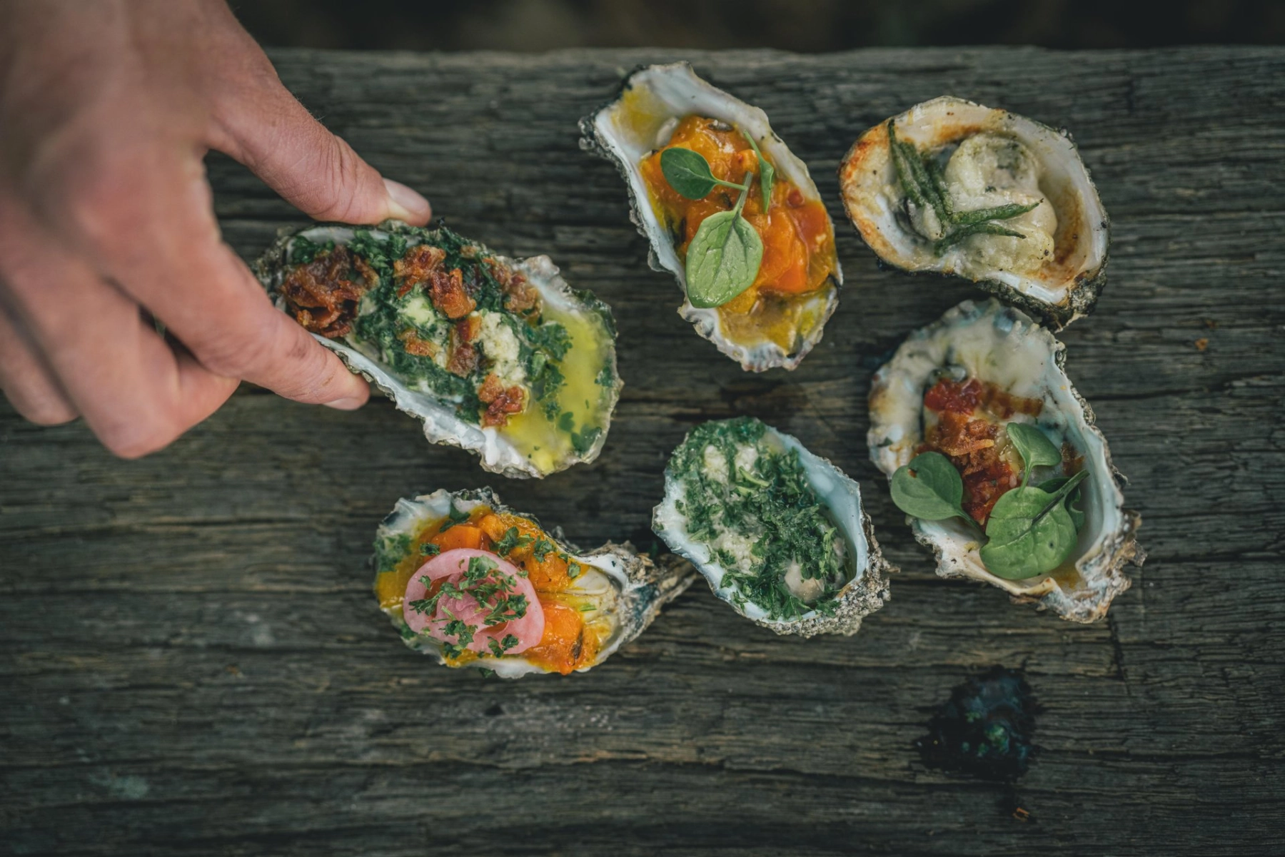 Signe-Bøgh-Tonnesen-Vadehavet-13-oysters_©Mads Tolstrup-large.jpg