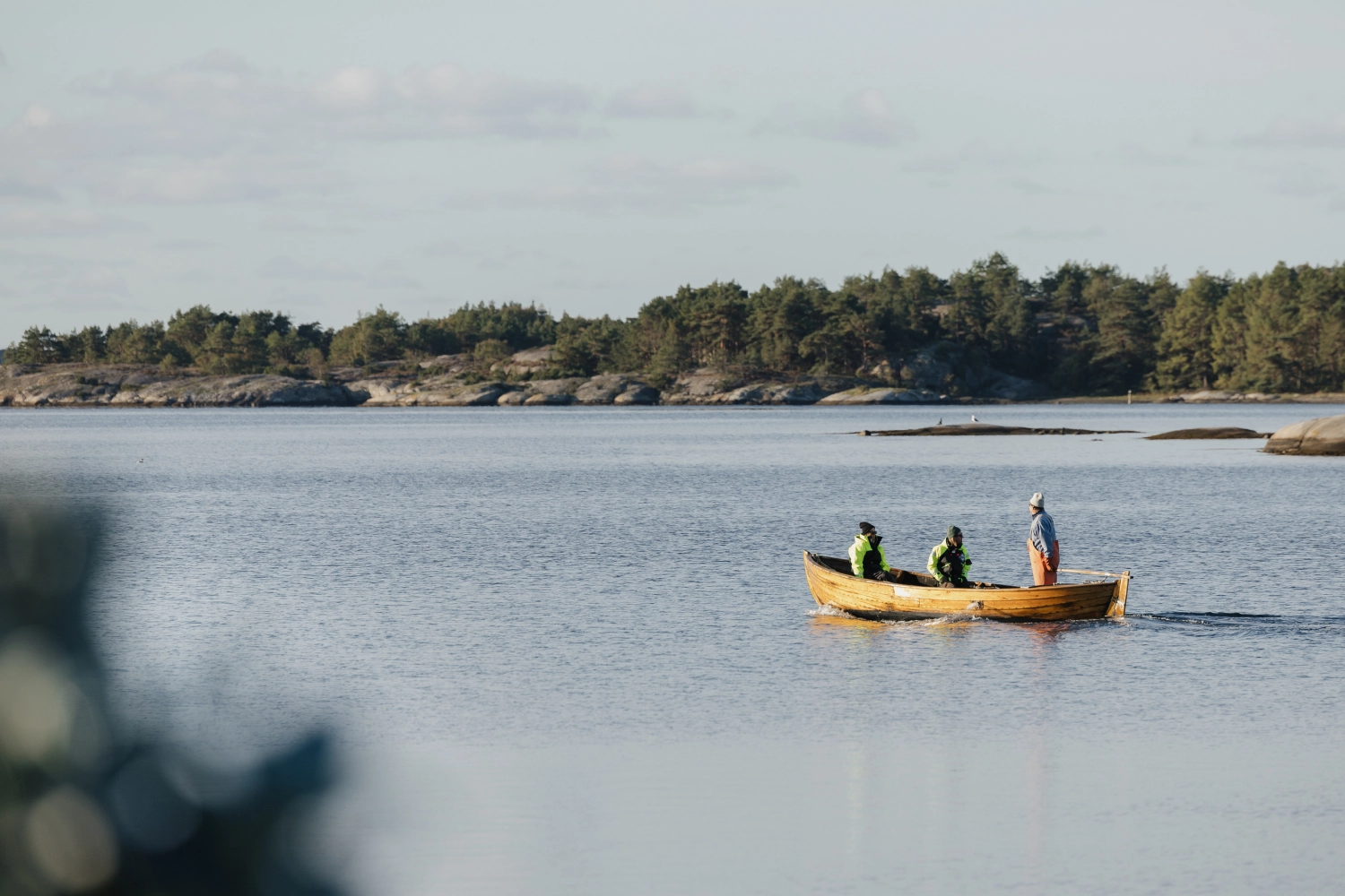 TS.h24-1 (kopia).jpg