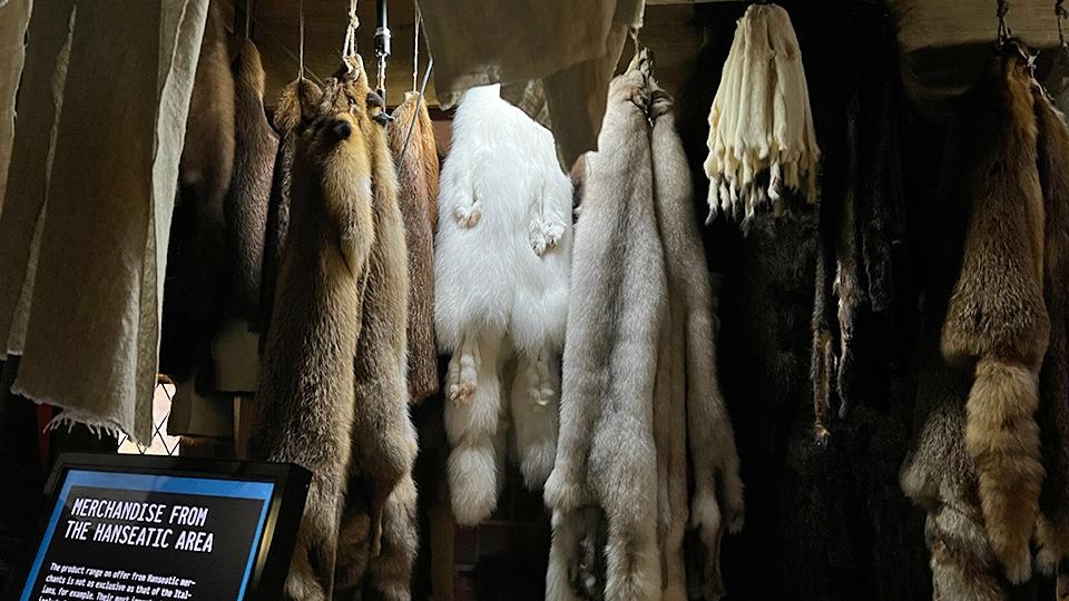 Hansamuseet_skinn.jpg