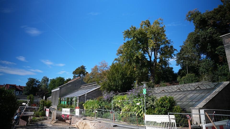G&oslash;ttingen Botanisk.jpg