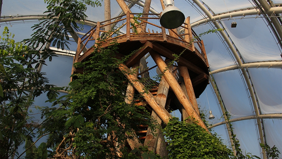 V&aelig;ksthusene i Botanisk Have i Aarhus.jpg